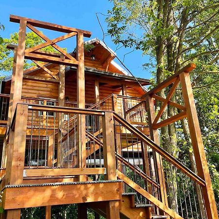 Cricket Hill Treehouse By Amish Country Lodging Millersburg Zewnętrze zdjęcie