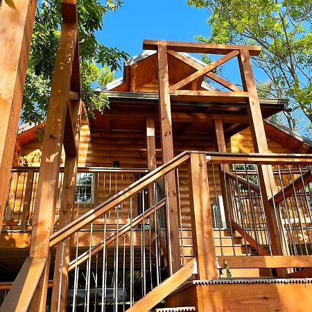 Cricket Hill Treehouse By Amish Country Lodging Millersburg Zewnętrze zdjęcie